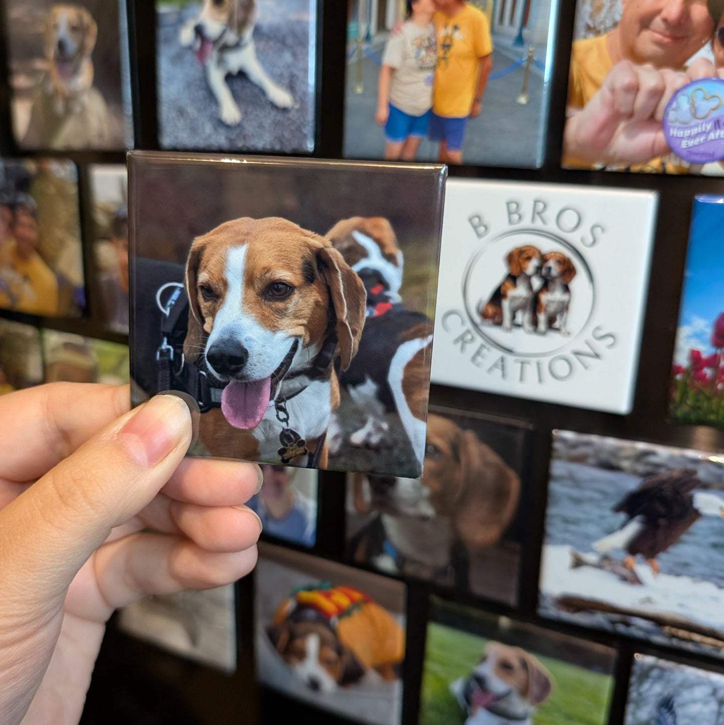 A hand holds a square photo magnet featuring a close-up of a beagle dog with its tongue out, wearing a harness and dog tags. Behind it, a display wall showcases multiple photo magnets, many depicting beagle dogs in various settings, along with a few images of people and nature scenes. One magnet prominently features a logo with two beagles and the text "B BROS CREATIONS." Another includes a button reading "Happily Ever After." The image highlights a personalized pet-themed magnet collection.