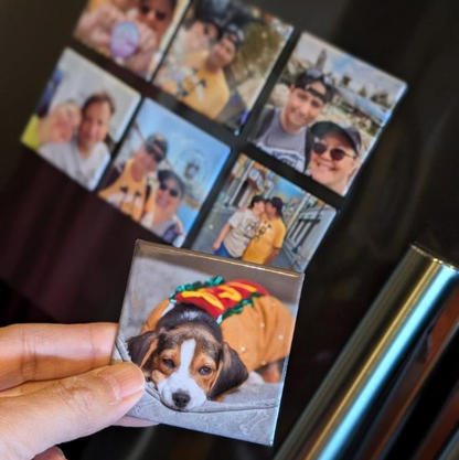 Set of 6 custom 2.5 x 2.5 inch fridge magnets made from buyer’s photo – personalized keepsake gifts