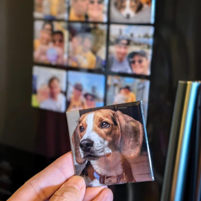 A hand holds a square photo magnet featuring a close-up of a beagle dog. In the background, a refrigerator door displays multiple square photo magnets arranged in a grid, showing personal photos of people posing together, likely family or friends. The beagle magnet is prominently featured in the foreground, suggesting sentimental value.
