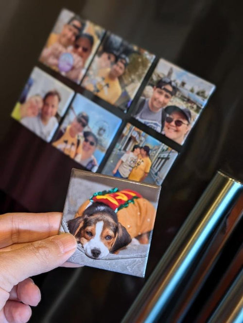 6 Square Magnet 2.5x2.5 Inch Show