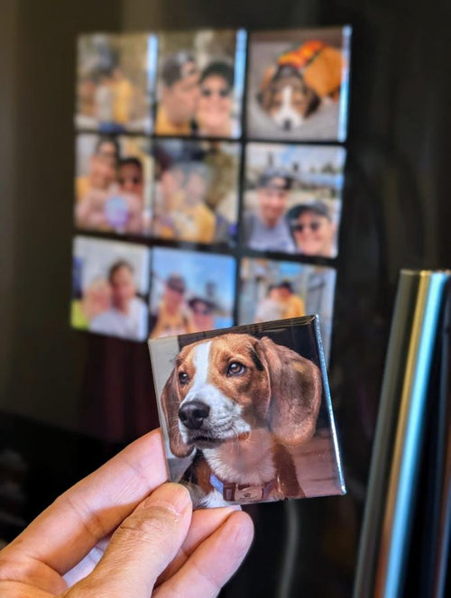 9 Square Magnet 2.5x2.5 Inch Show