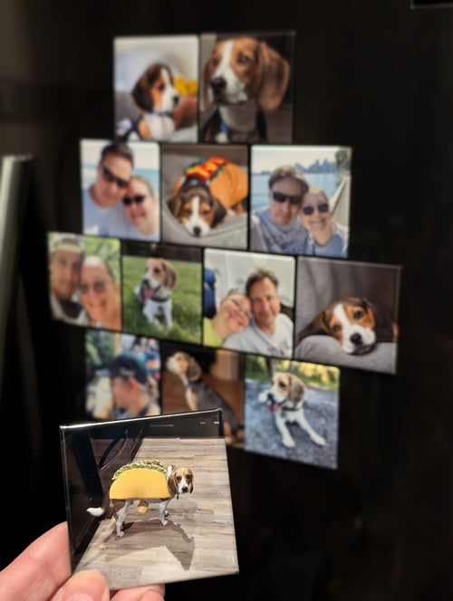 12 Square Magnet 2.5x2.5 Inch Show